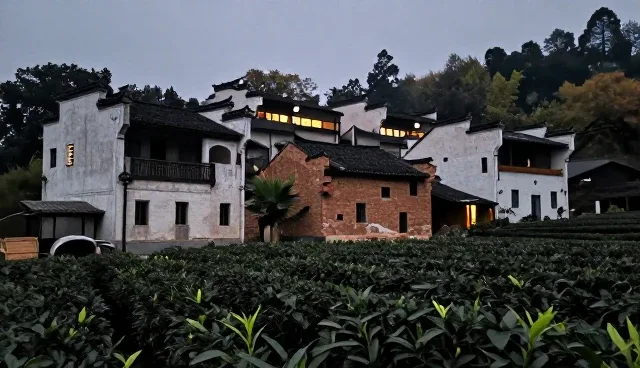 冷链配送在食品研发中的关键作用及使用建议